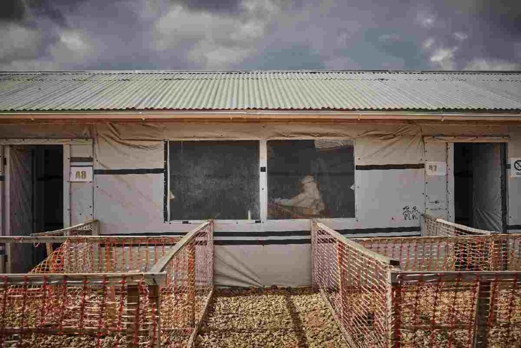 Un operatore sanitario nella Repubblica Democratica del Congo